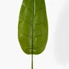 56in Long Banana Leaf, Case of 12
