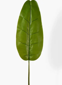 56in Long Banana Leaf, Case of 12