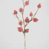 27in Long Beaded Pomegranate Spray