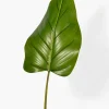 37in Long Beryl Leaf, Case of 12