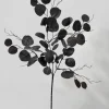 30in Long Black Eucalyptus Pick