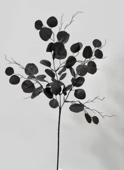 30in Long Black Eucalyptus Pick