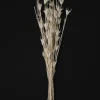 24in Long Bleached Nigella Bunch