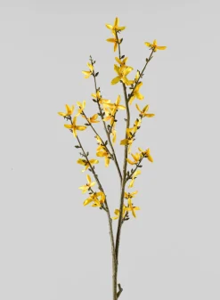 24in Long Blooming Forsythia Branch, Case of 12
