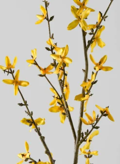 24in Long Blooming Forsythia Branch, Case of 12