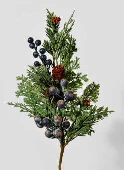 14in Long Blueberry Cypress Pick, Case of 12