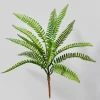 17in Long Boston Fern Pick, Case of 12