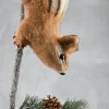 28in Long Brown Squirrel Branch