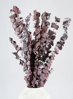 20in Long Burgundy Dried Eucalyptus Bunch