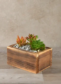 7in Long Burnt Wood Box, Mini