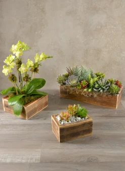 15.75in Long Burnt Wood Flower Box