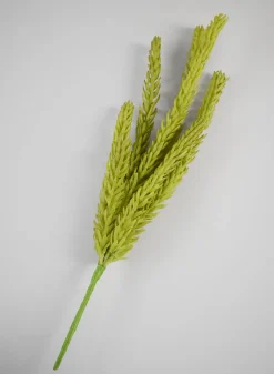 14in Long Burro's Tail Pick, Case of 12