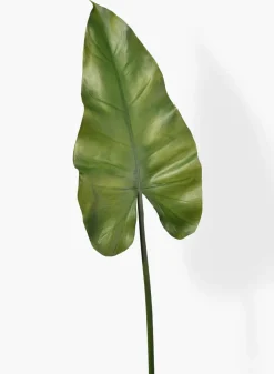 33in Long Calla Lily Leaf, Case of 12
