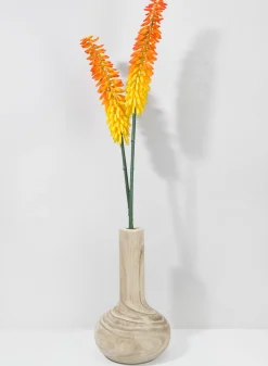 34in Long Cape Aloe Flower, Orange, Case of 12