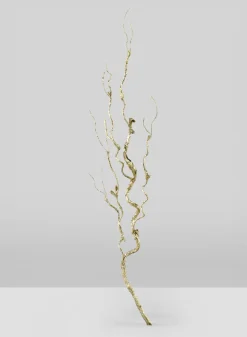 36in Long Champagne Curly Vine, Case of 12