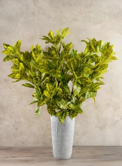27in Long Croton Pick Leaves, Case of 12