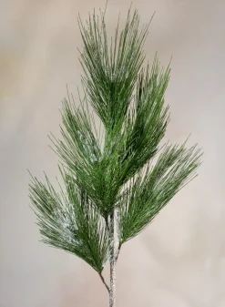 37in Long Dark Green Eastern White Pine Pick, Case of 12