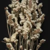 24in Long Dried Statice Flower Bunch