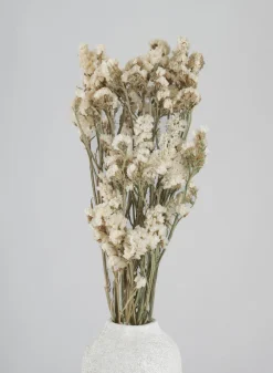 24in Long Dried Statice Flower Bunch
