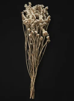24in Long Dried Statice Flower Bunch