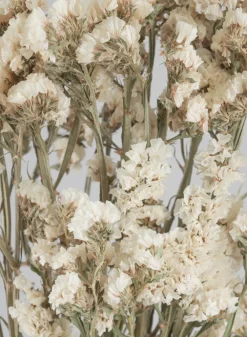 24in Long Dried Statice Flower Bunch