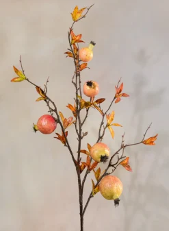 38in Long Early Fall Young Pomegranate Branch, Case of 12
