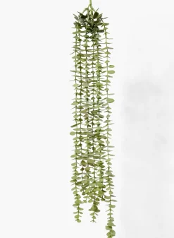 31in Long Eucalyptus Hanging, Case of 12