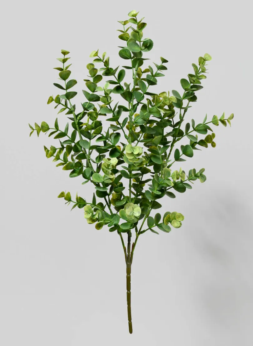 19in Long Eucalyptus Spray, Case of 12