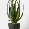 18in Long Faux Aloe Plant In Pot