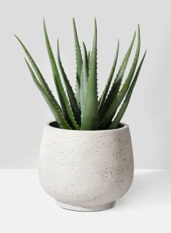 18in Long Faux Aloe Plant In Pot