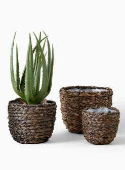 18in Long Faux Aloe Plant In Pot