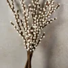 21in Long Felt White Berry Stem, Set of 5