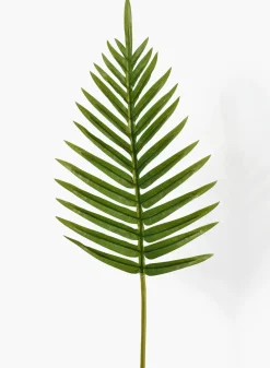 26in Long Fern Leaf, Case of 12