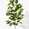 36in Long Ficus Spray, Case of 12
