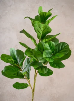 47in Long Fiddle Leaf Fig Branch, Case of 6