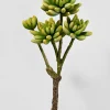 15in Long Finger Succulent Pick, Case of 6