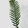 56in Long Fishtail Fern Leaf, Case of 12