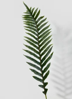 56in Long Fishtail Fern Leaf, Case of 12