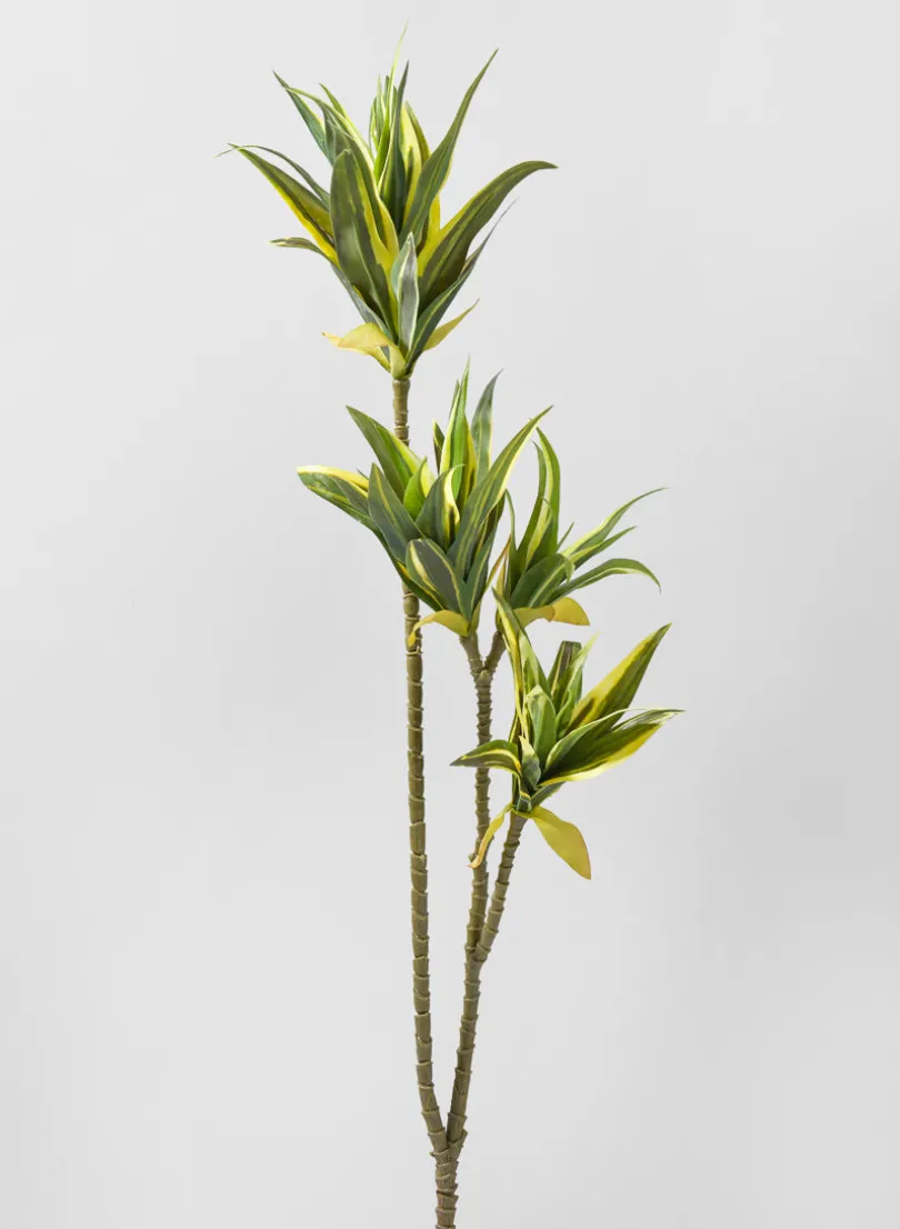 40in Long Fortune Bamboo Spray, Case of 12