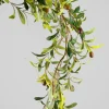 64in Long Freshly Ripe Olive Tree Garland