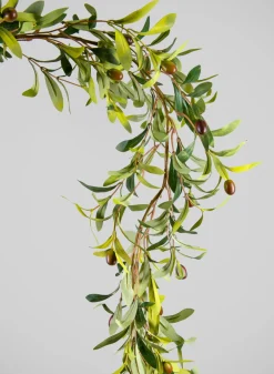 64in Long Freshly Ripe Olive Tree Garland