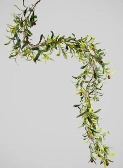 64in Long Freshly Ripe Olive Tree Garland