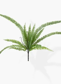 37in Long Giant Boston Fern Pick, Case of 12
