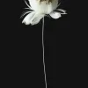 18in Long Glittered Gold Feather Opening Peony, Case of 6