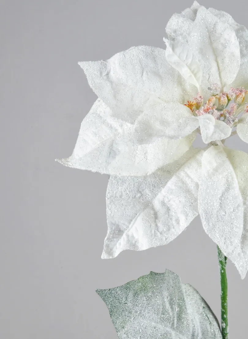 26in Long Glitter Frost Poinsettia Spray, Case of 12