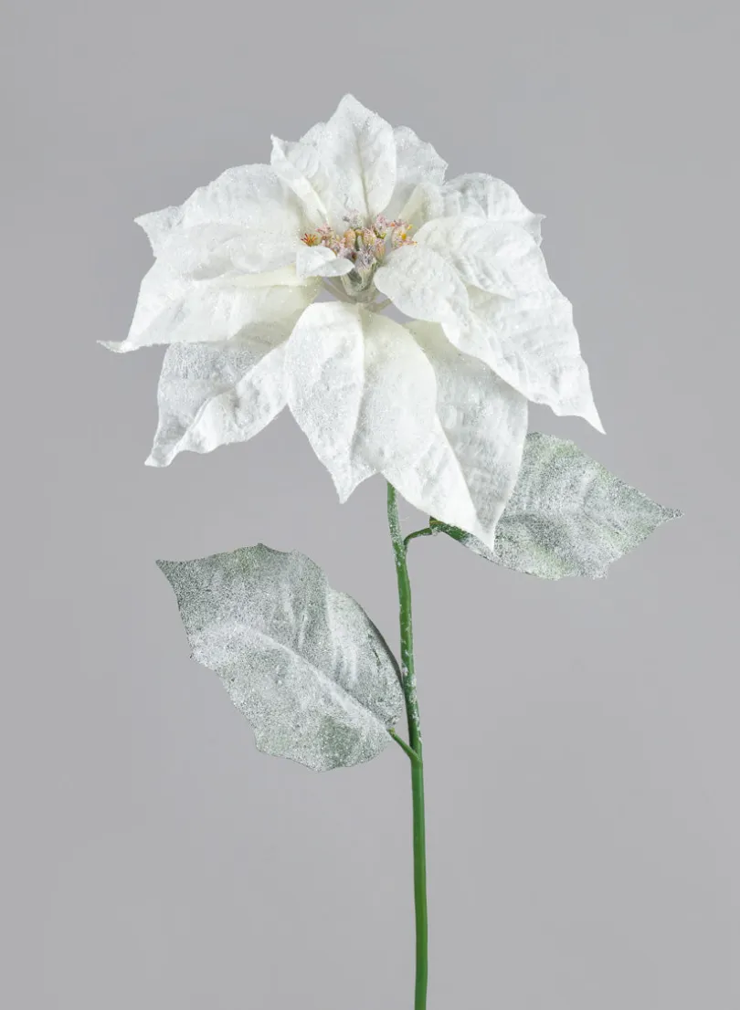 26in Long Glitter Frost Poinsettia Spray, Case of 12