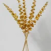 24in Long Gold Eucalyptus Picks, Case of 12