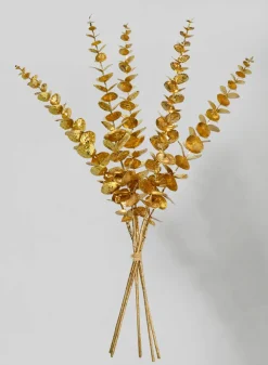 24in Long Gold Eucalyptus Picks, Case of 12