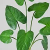 27in Long Green Anthurium Leaf Spray, Case of 12