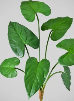 27in Long Green Anthurium Leaf Spray, Case of 12